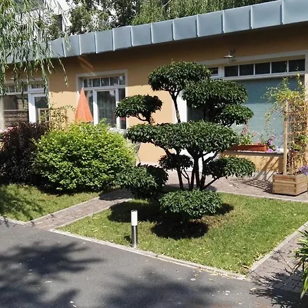Steiger Apartment